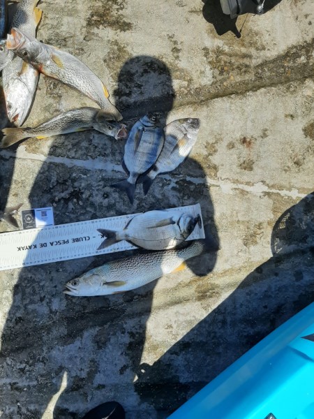 Fish Measure Picture